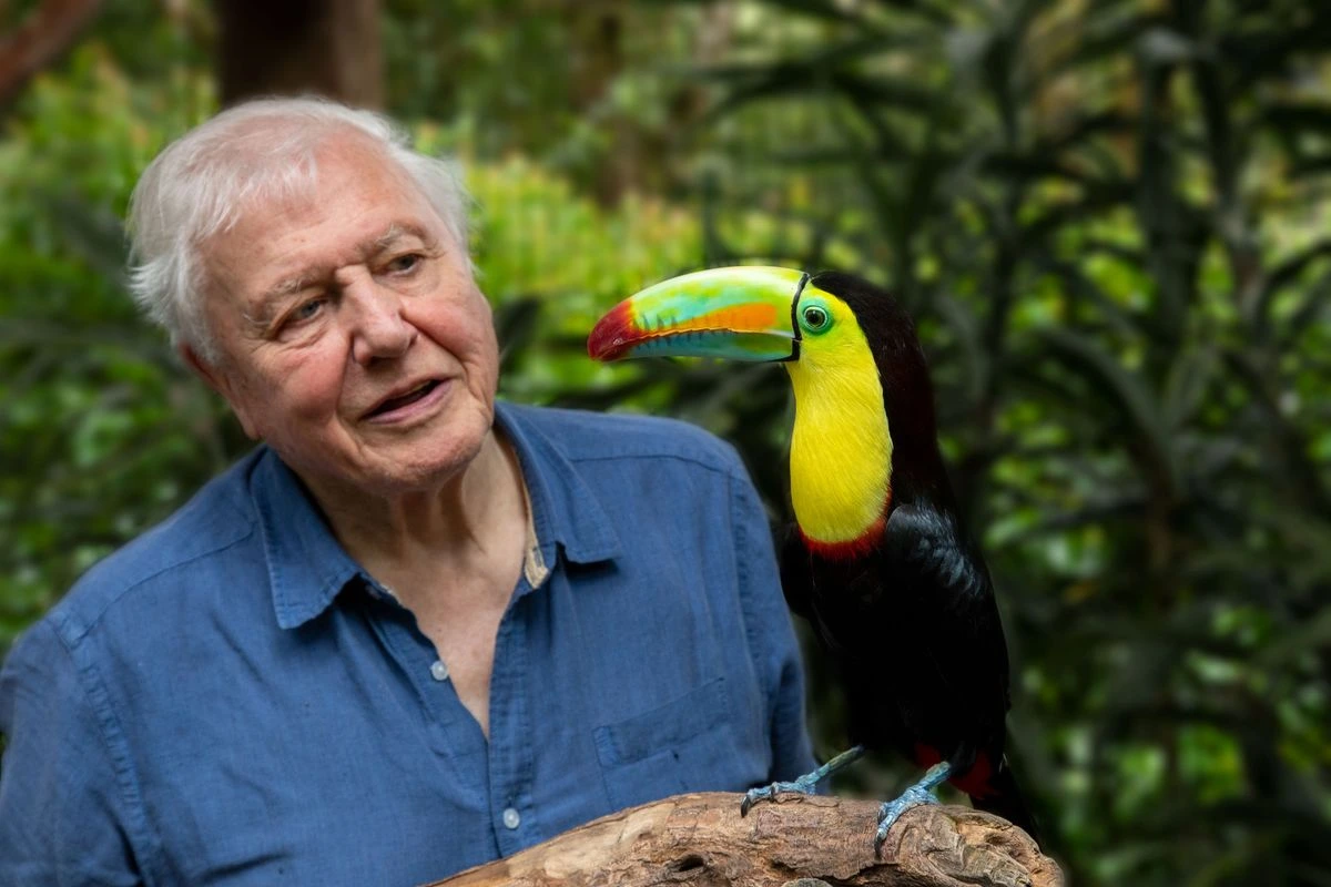 Who Is Sir David Attenborough? The Voice of Nature Across Generations