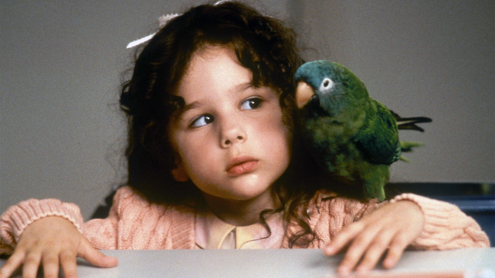 Why 'Paulie' (1998) Is the Heartwarming Adventure Every New Generation Needs to Watch