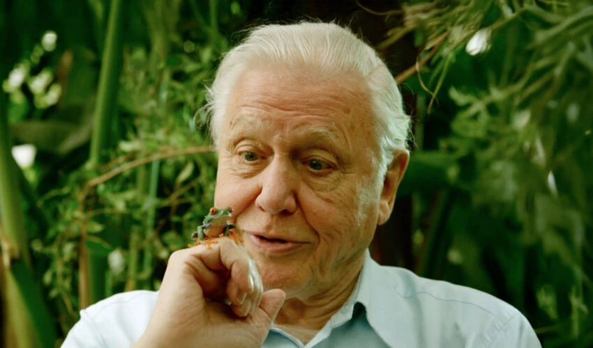 Who Is Sir David Attenborough? The Voice of Nature Across Generations Who Is Sir David Attenborough? The Voice of Nature Across Generations