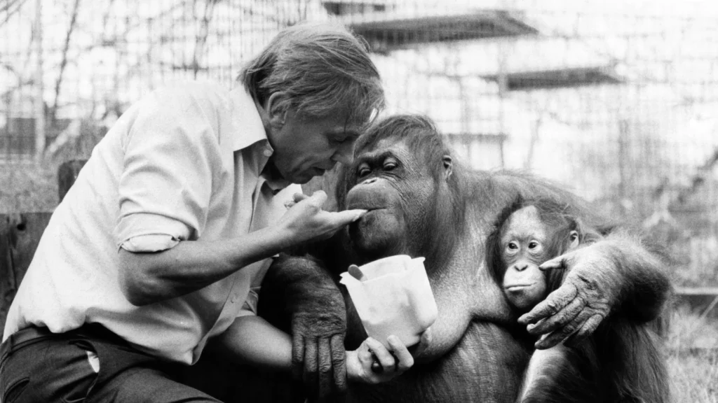 Who Is Sir David Attenborough? The Voice of Nature Across Generations