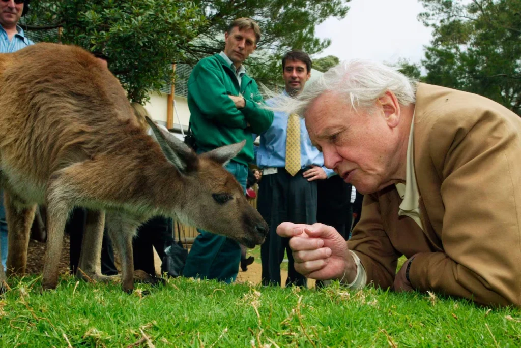 Who Is Sir David Attenborough? The Voice of Nature Across Generations Who Is Sir David Attenborough? The Voice of Nature Across Generations